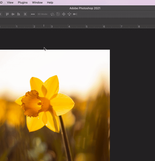 Photoshop reset your workspace animation